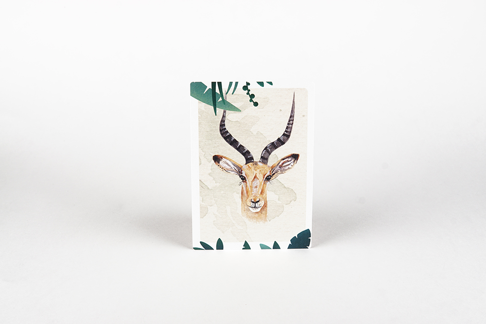 Postkarte Antilope