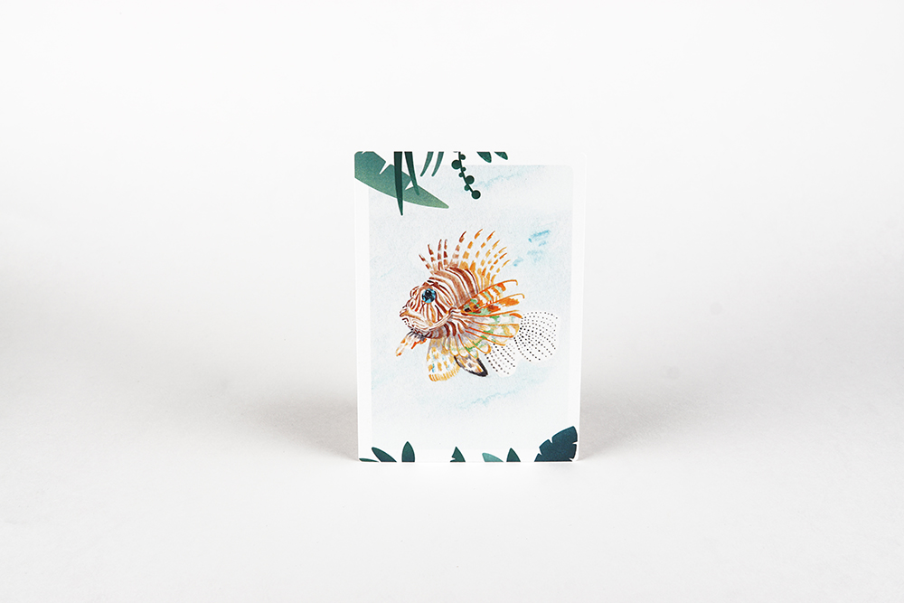 Postkarte Feuerfisch