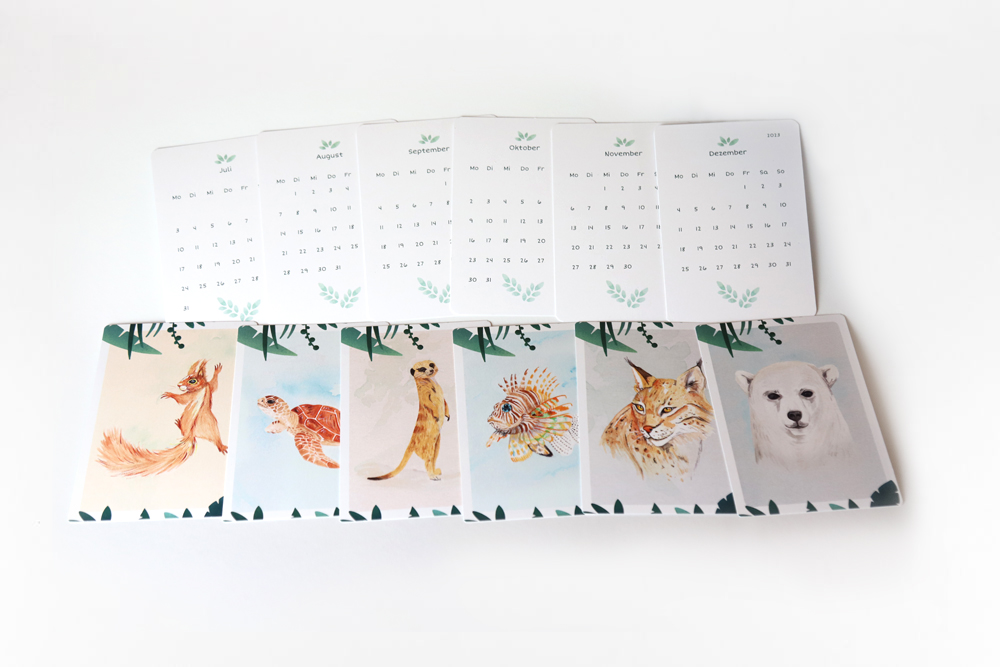 Postkartenkalender 2023 Wildtiere | ohne Aufsteller