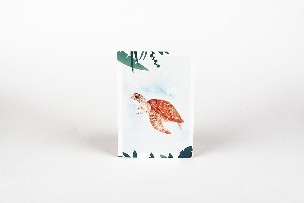 Postkarte Schildkröte